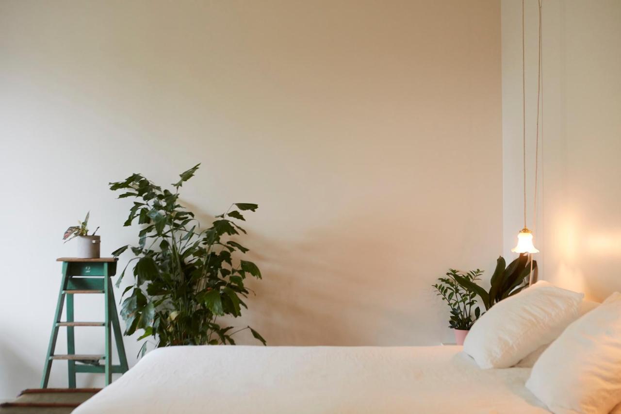 Chambre D'Amis By Alix ヘント エクステリア 写真